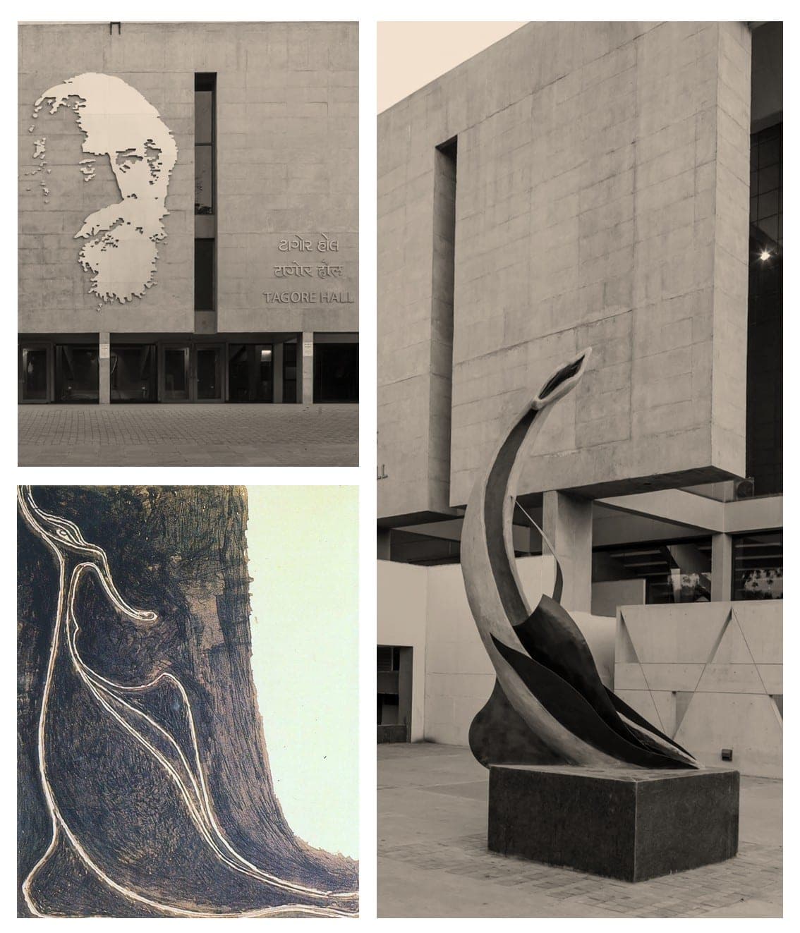 Tagore Hall — 01 inspired by bird fantastic by rabindranath tagore